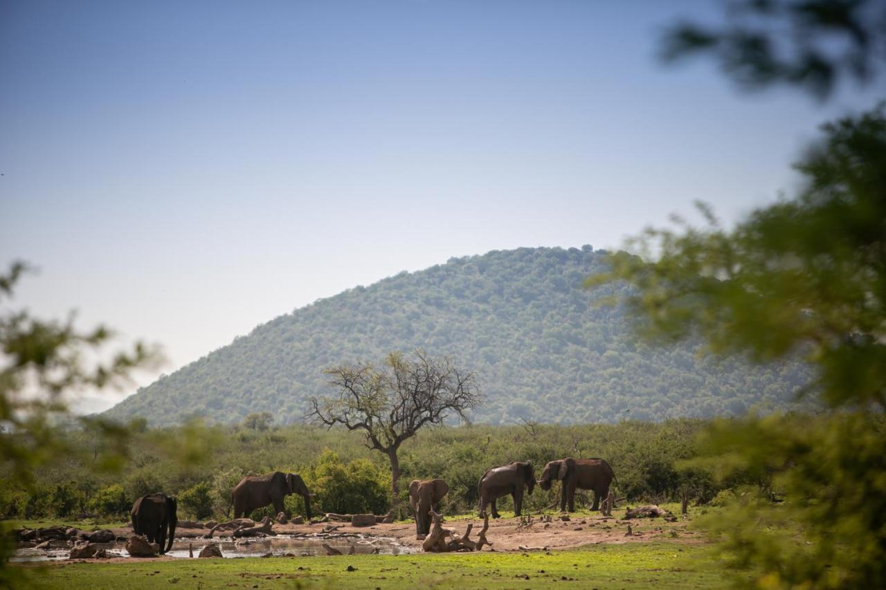 Villa Jamala Madikwe à Madikwe Game Reserve Extérieur photo
