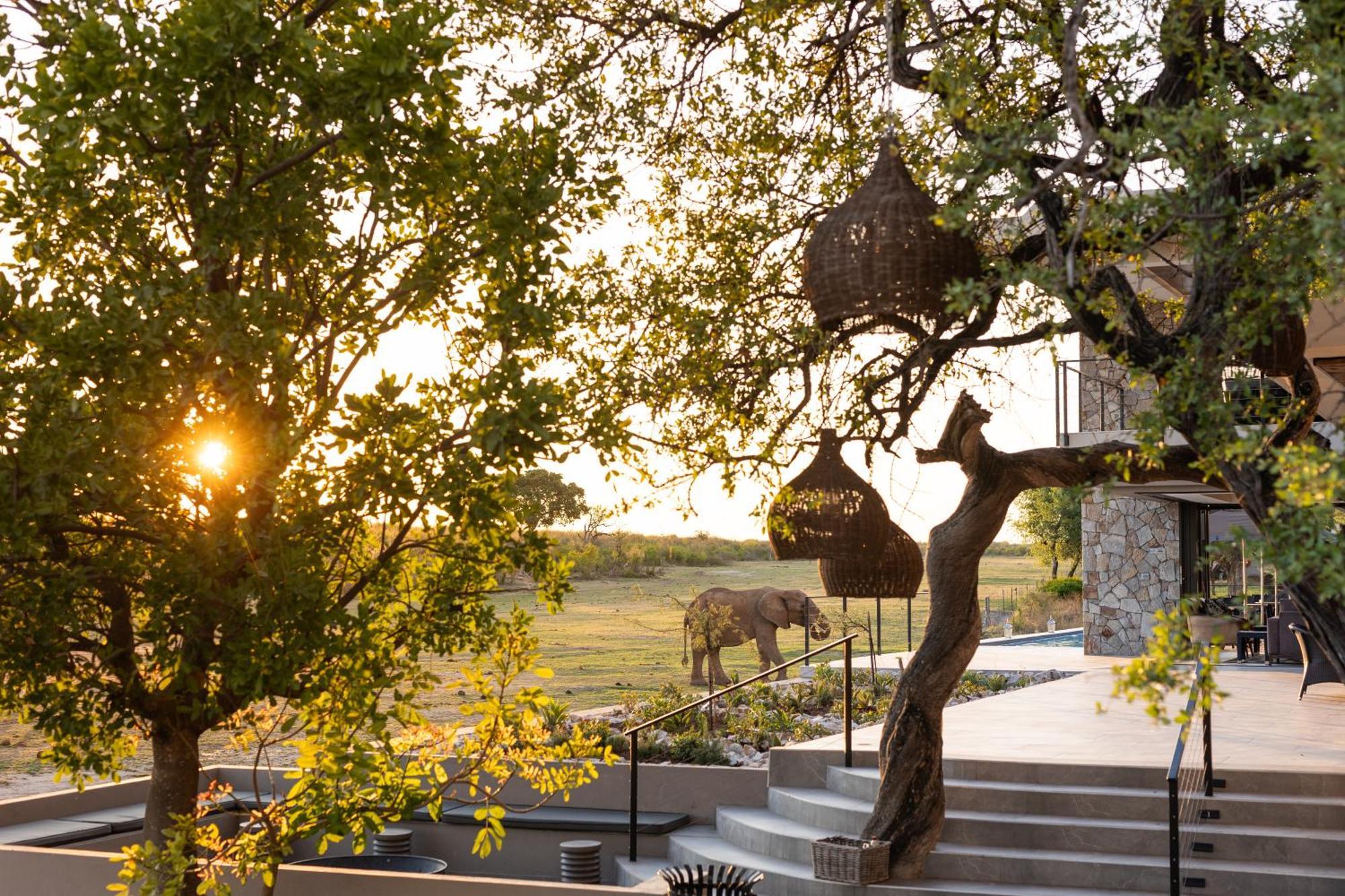 Villa Jamala Madikwe à Madikwe Game Reserve Extérieur photo